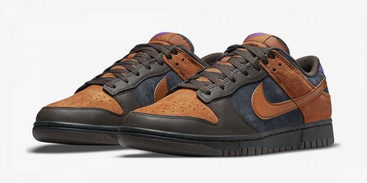 DH0601-001 Nike Dunk Low PRM “Cider" Sneakers For Sale