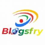 blogsfry Profile Picture