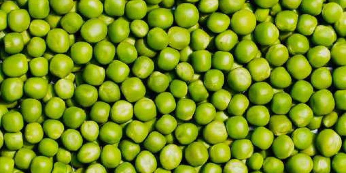 Pea Starch Market Share, Revenue, Size, Growth, Regional Demand, Outlook with Forecast