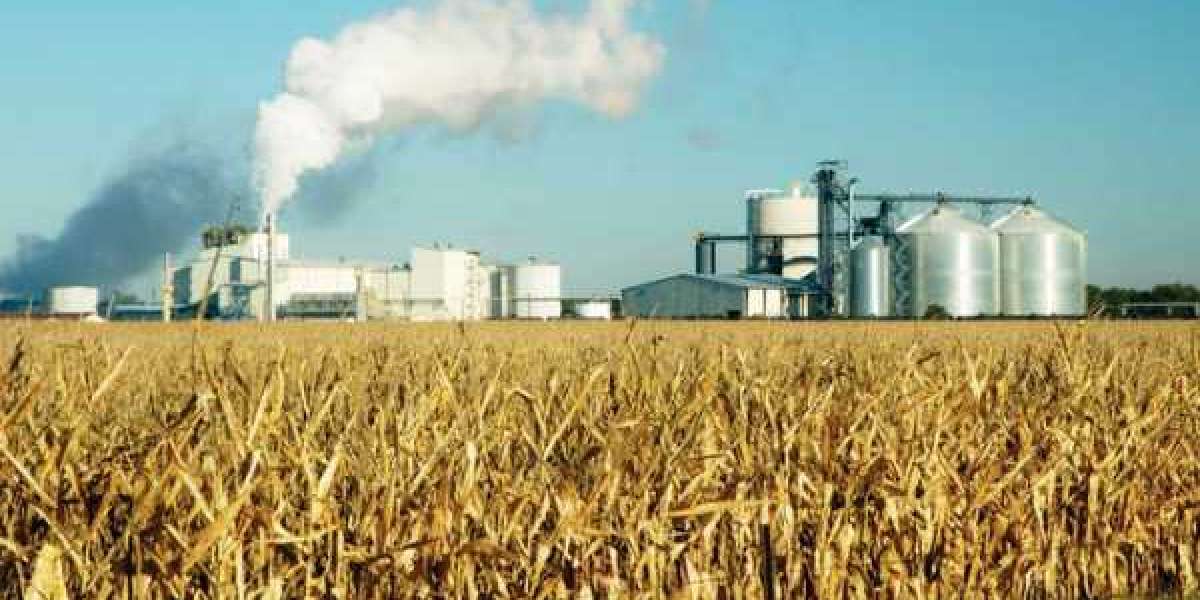 Advanced Biofuel Market Analysis 2022: Industry Size, Share, Emerging Trends, Growth Opportunities and Forecast To 2030