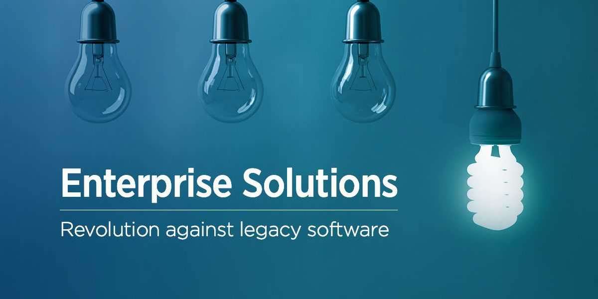 The Evolution of the Enterprise Software Industry