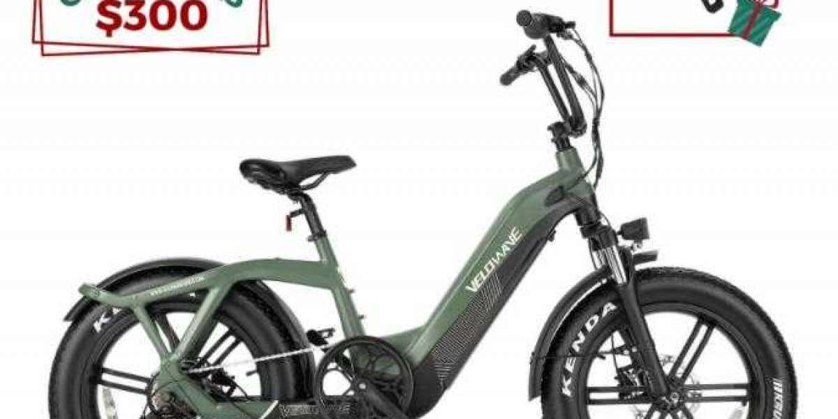 How Electric Bikes Will Change the World