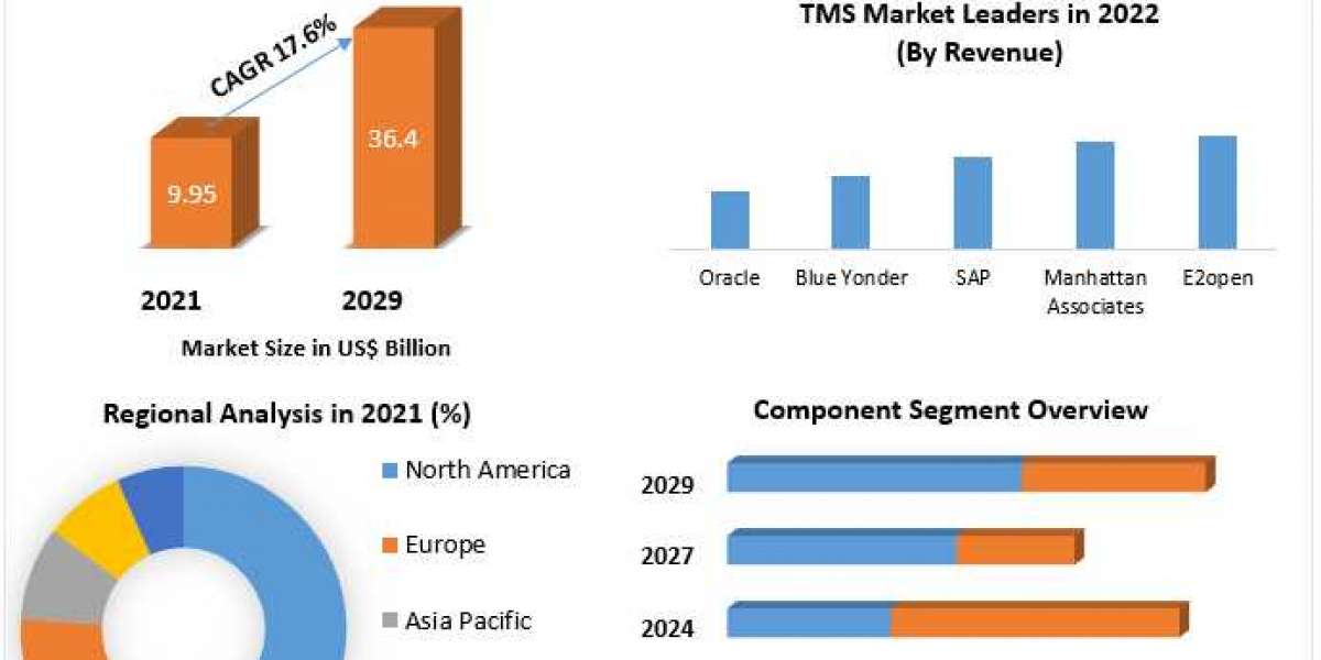 Which region is expected to dominate the TMS Market at the end of the forecast period?