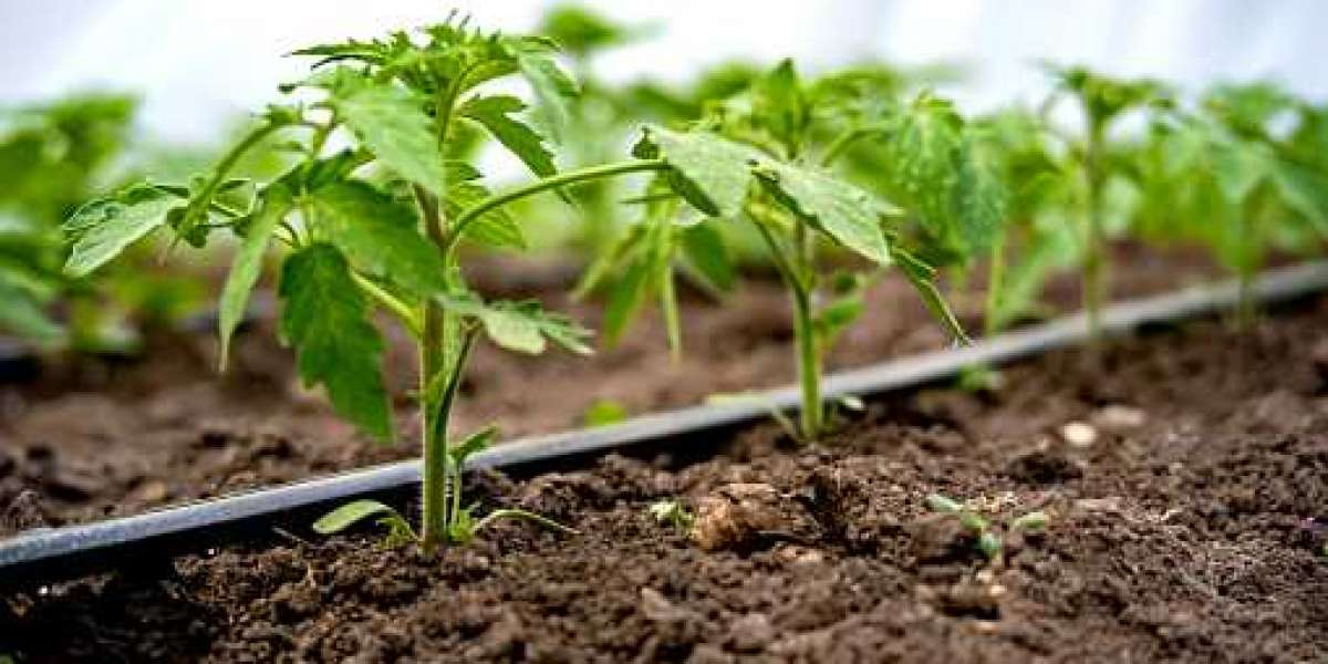 Drip Irrigation Market Regional Growth, Revenue Product & Competitor with Insights