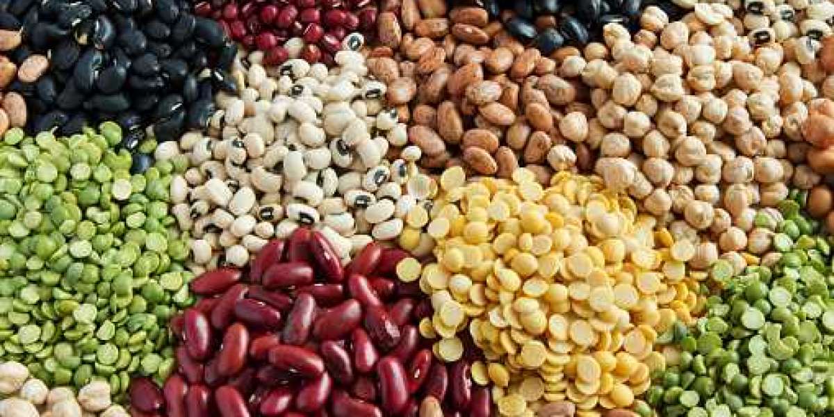Fruits and Vegetable Seeds Market Size, Sales, Price, Revenue Growth, & Share, Research Report forecast year 2030