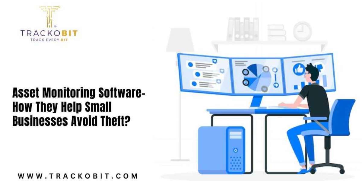 Asset Monitoring Software - How They Help Small Businesses Avoid Theft?