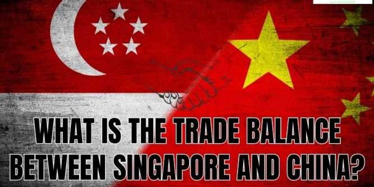 What Does Singapore Import from the USA?