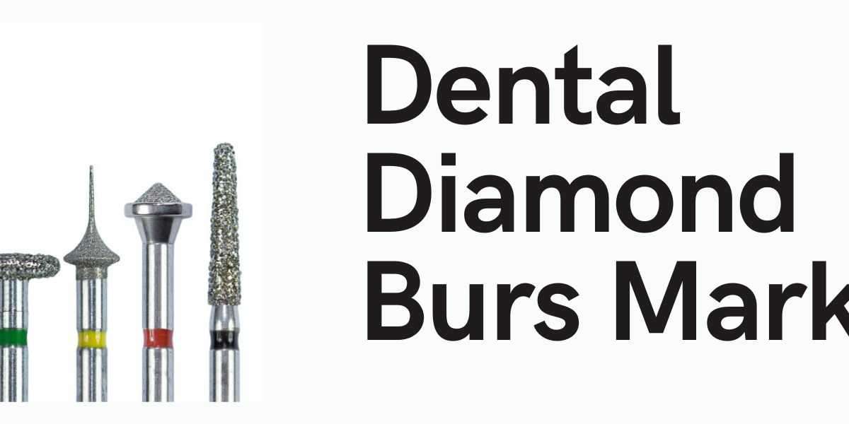 Dental Diamond Burs Market Outlook: Growth Potential